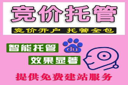 百度广告推广在电商行业的实战案例